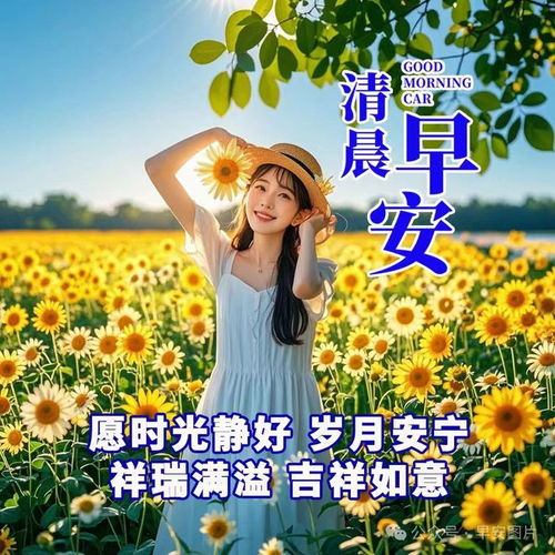 被赞美追得无处可逃：一场意外的自我成长之旅