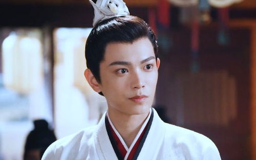 丁禹兮的舒心之路：从低谷到巅峰的蜕变