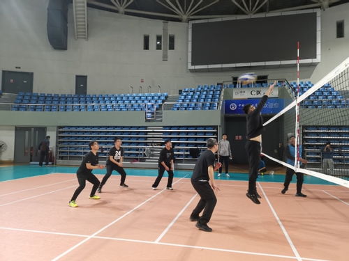 两队比赛精彩瞬间