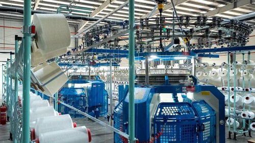 15岁女生学技术：在热爱里找方向，让未来有温度