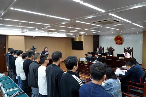 特朗普政府或将恢复外国学生合法身份，留学生迎来新希望