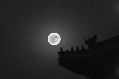 月是故乡明，人是故乡亲：一个游子的心声