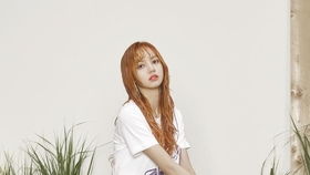 娱乐圈访谈八卦：从赵L思到张爽，揭秘背后的故事