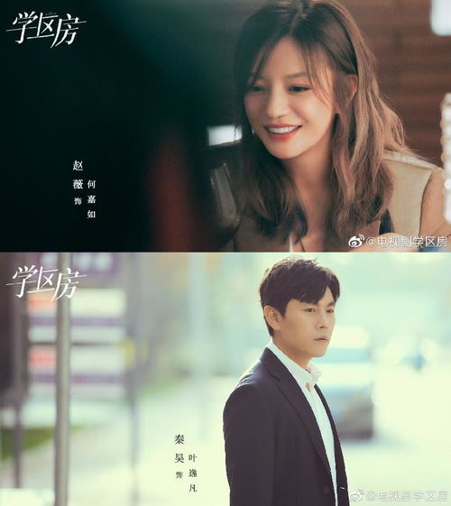 袁冰妍和刘学义的剧照