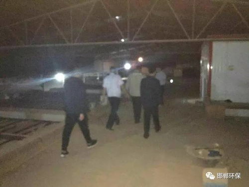 面试中的现实与抉择：如何应对那些不寻常的信号