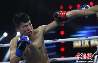 两名选手正在比赛中激烈对抗