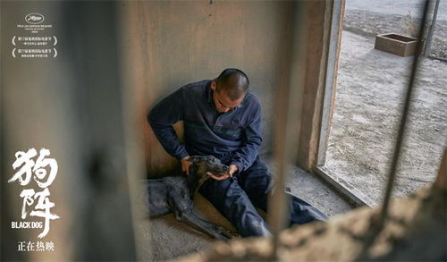 2025年华表奖提名名单公布，张译领衔群星闪耀