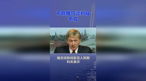 俄乌和平谈判场景想象图