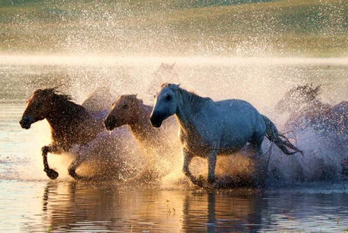 专家称东京湾大地震预言可信度极低，背后真相大揭秘