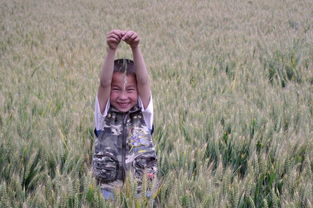 像册里的旧时光：那些被遗忘的故事