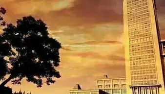 我在日本给「大小姐」拍短剧：揭秘背后的故事