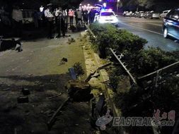 野狼被撞死的现场照片