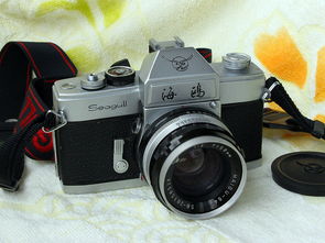 纽约市民凌晨排两条街长队买中国相机