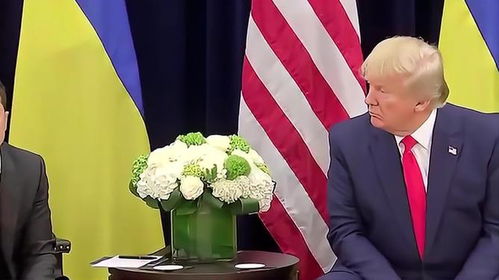 特朗普与泽连斯基再起争执，背后真相大揭秘！