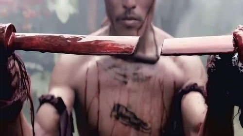 秦焱与敌人交战