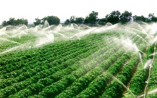 农田灌溉