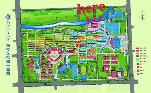 本科文凭还能撑多久？学者的一句话道出了真相