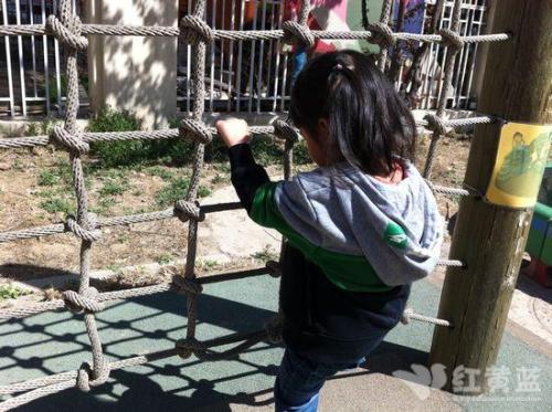 特警队食堂阿姨轻松爬绳惊呆众人