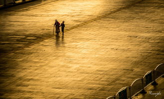 晨曦中的冥想者