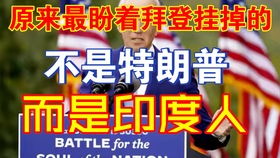 网友们热烈评论截图