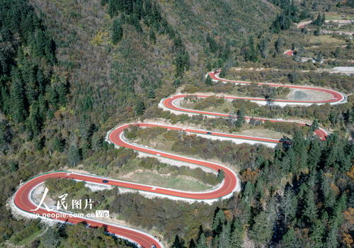 人生要有托底：在迷茫中找到方向