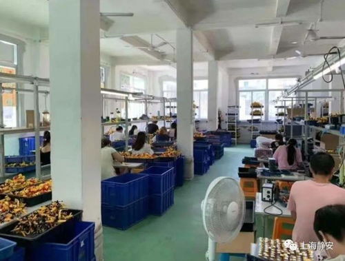 美国玩具公司起诉政府：小企业也能撼动巨头？