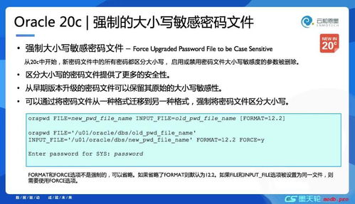 大小写敏感文件对比图