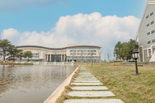 真相还原：江西理工在校生遭外籍生殴打事件