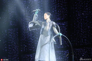 谢霆锋演唱会唱定情曲 王菲陶醉起舞