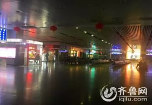 人生偶感：靠自己照亮前路，拥抱不确定的未来