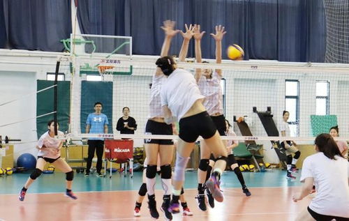 江苏女排训练场景