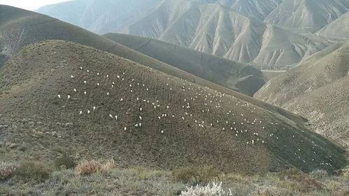 故乡的连绵群山