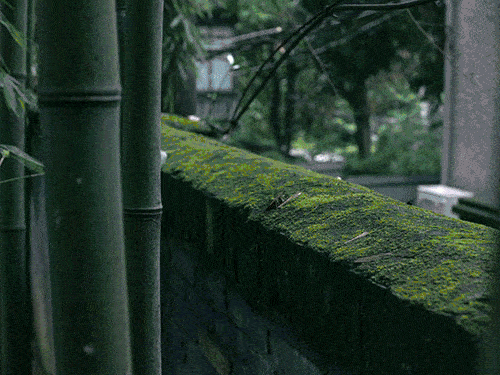 想万次不如走一次：从犹豫到行动的蜕变之旅