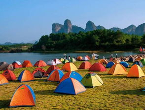 保护自然遗产宣传海报