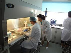 药物研发大模型企业估值突破400亿的秘密