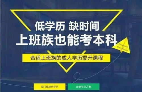 华妃只认第一学历？揭秘职场潜规则与真实心声