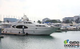 豪华游艇停靠港口