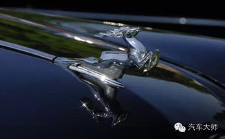 猎鹰与小蜜蜂的巅峰对决：谁才是天空霸主？