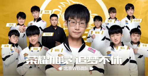 WB战队庆祝胜利