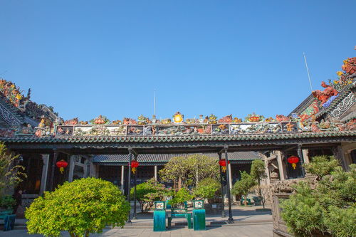 五一手机摄影秘籍：小白也能拍大片！