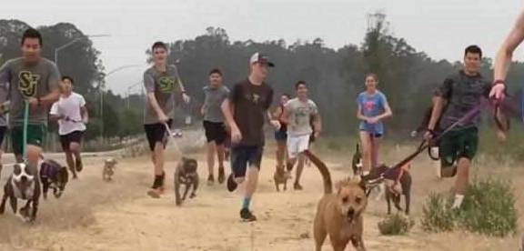 一个人晨跑场景