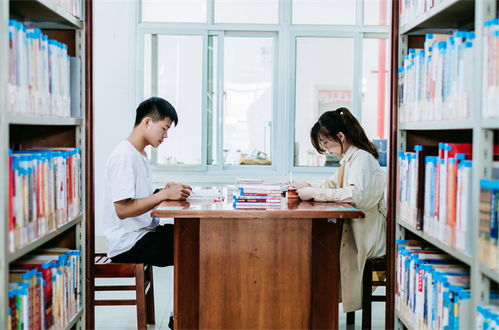 特蕾莎的复习场景