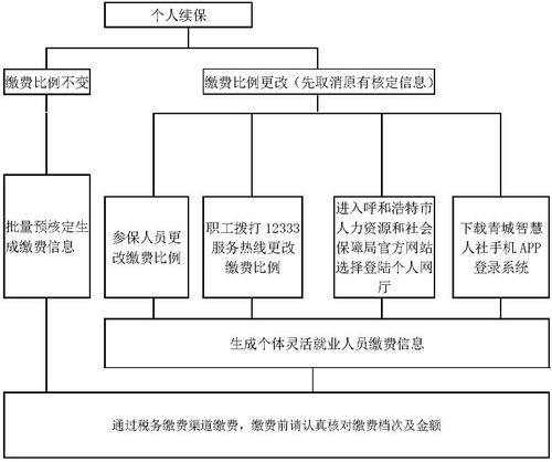 社保断缴的后果与应对策略，你必须知道的真相！