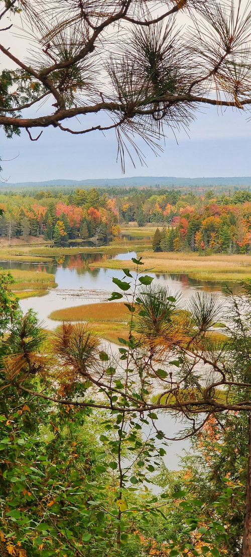 平静的湖面倒影