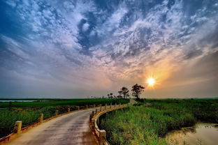 处理后的风景照