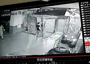 男子买狗退款遭拒当场摔死狗：宠物交易中的矛盾与反思