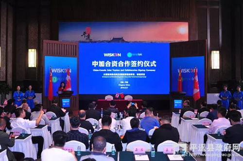 中加合作项目现场