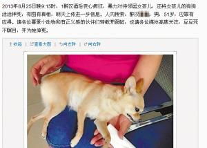 男子因买狗不满意摔死狗事件背后的真相与反思