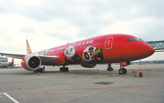 网友偶遇C919大飞机：闪耀中国红的云端之旅