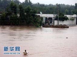 印未通知就泄洪 巴多地面临洪灾风险：一场跨国界的水患危机